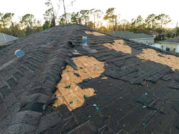 Best Cold Roofs  in Dorneyville, PA