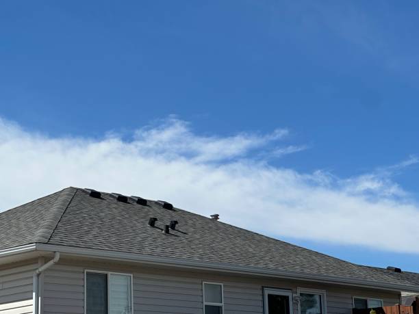 Best Rubber Roofing (EPDM, TPO)  in Dorneyville, PA